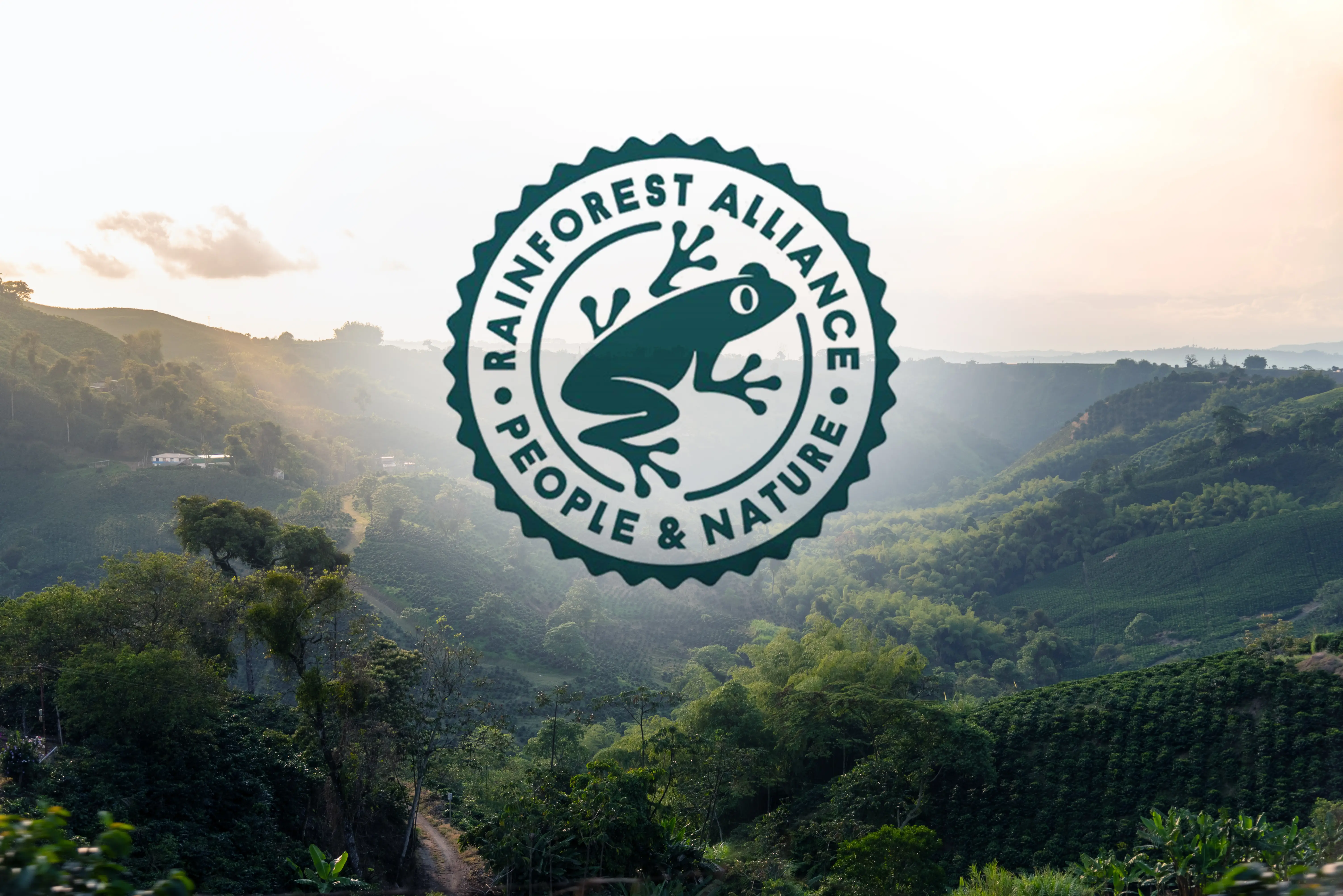 咖啡-可(kě)持續 拷貝